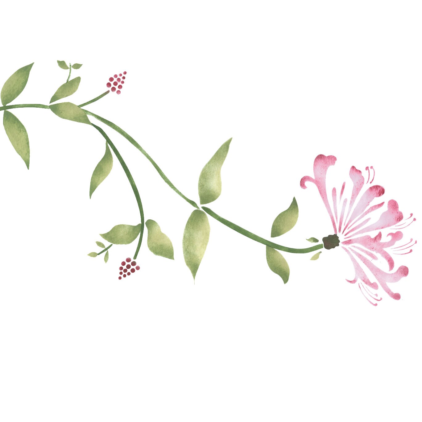 Honeysuckle Flower Wall Stencil | 3301 by Designer Stencils | Floral Stencils | Reusable Art Craft Stencils for Painting on Walls, Canvas, Wood | Reusable Plastic Paint Stencil for Home Makeover | Easy to Use & Clean Art Stencil