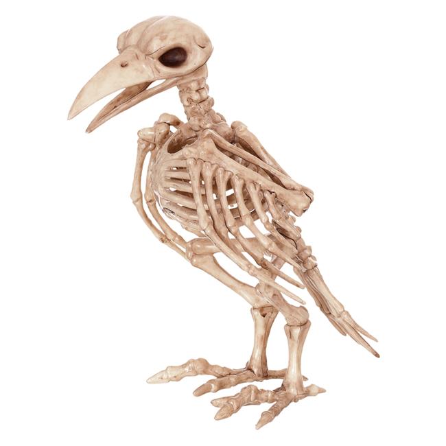 Skeleton Raven Costume