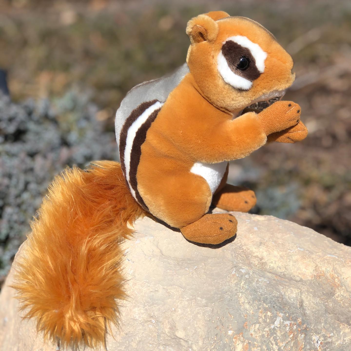 Meet Our Mini Chipmunk, Chipster&#x2122;: The Perfect Cuddly Companion