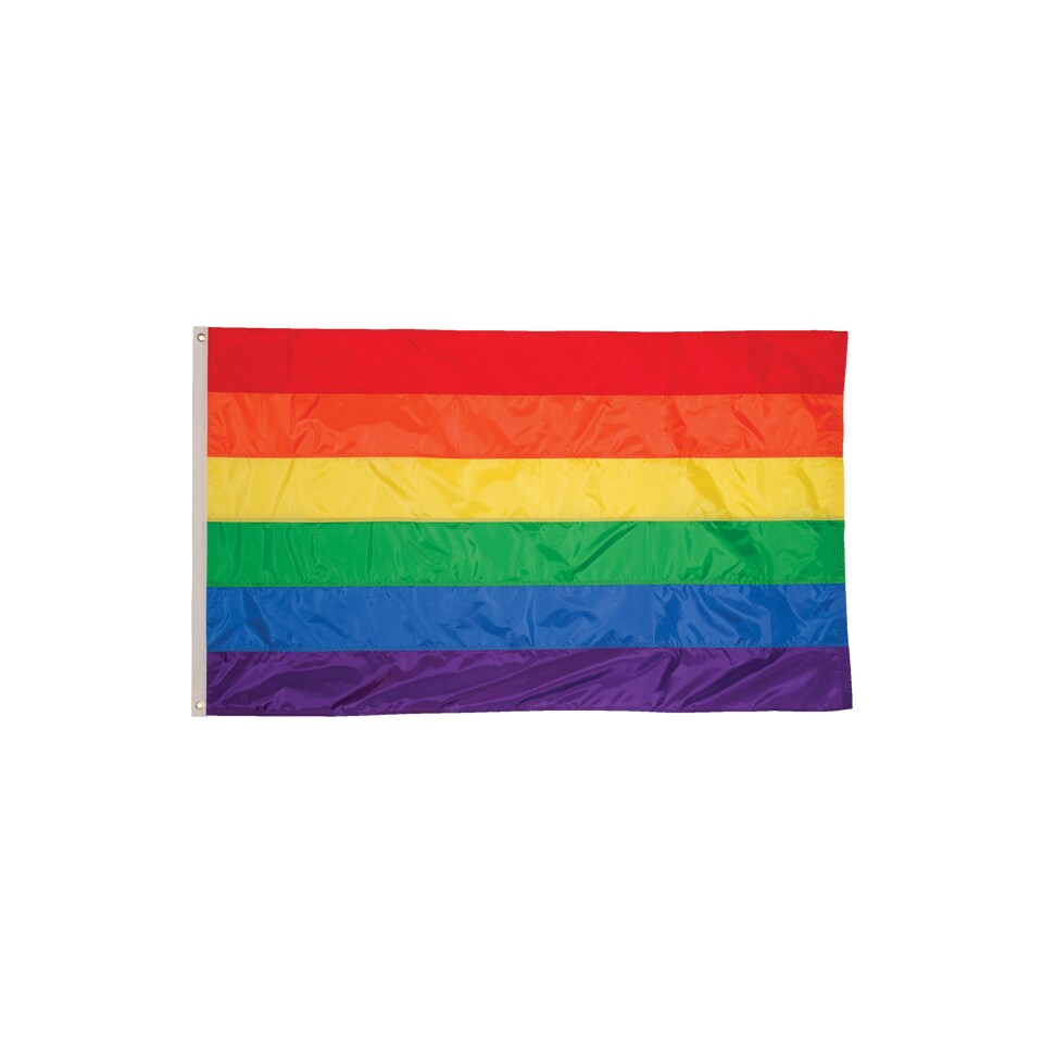 In the Breeze 2 Foot by 3 Foot Rainbow Flag - Rainbow Grommet Flag with Sewn Stripes