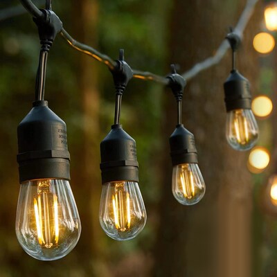 Portfolio 24-ft Plug-in Black Outdoor String Light with 12 White-Light LED  Edison Bulbs at