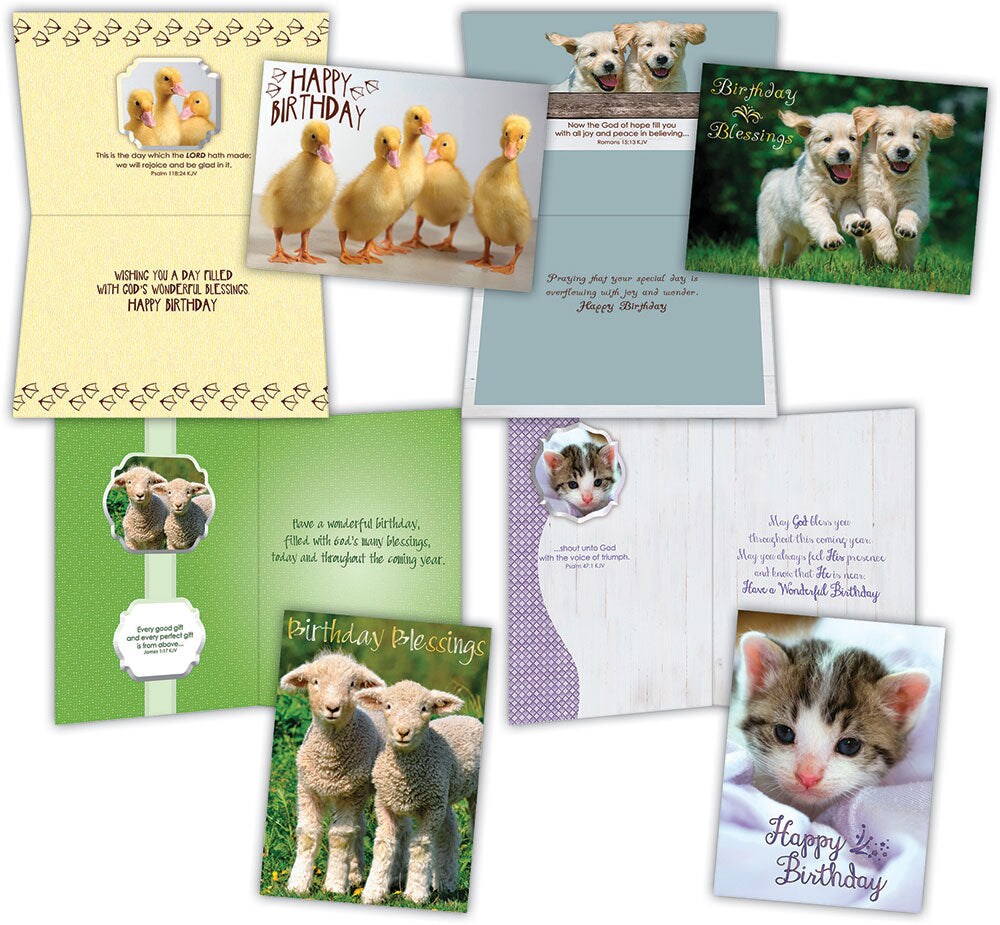 Birthday - Fur and Feathers - Assorted Birthday Cards, Box of 12