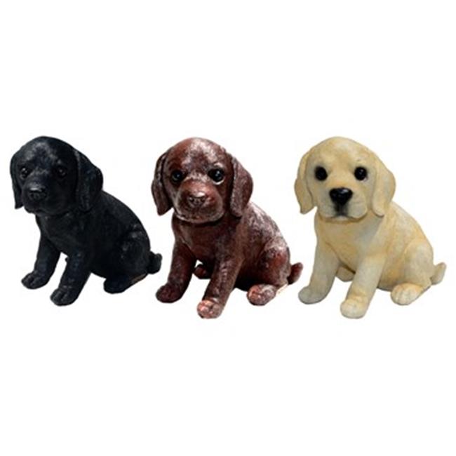 miniature lab puppies