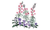 Snapdragons and Pansies Wall Stencil | 3083 by Designer Stencils | Floral Stencils |