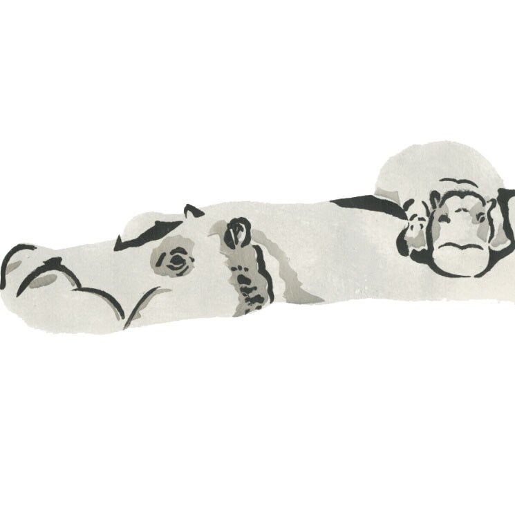 Mother and Baby Hippo Wall Stencil | 2774 by Designer Stencils | Animal &#x26; Nature Stencils |
