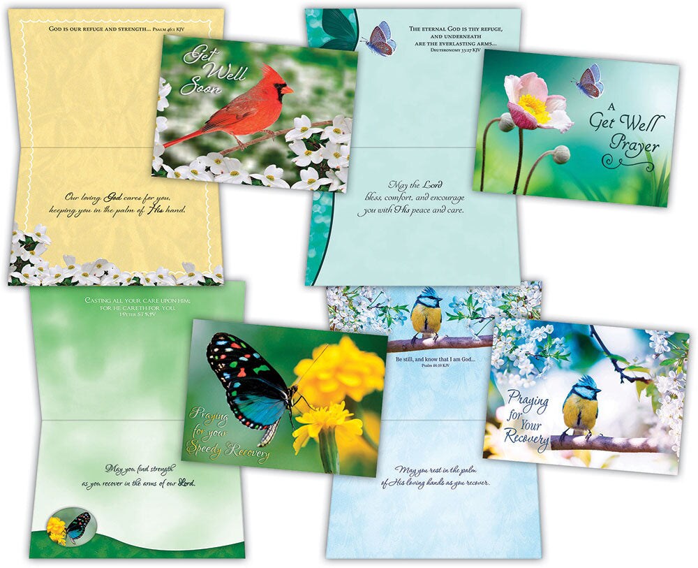 Get Well - Birds and Butterflies - Assorted Get Well Cards