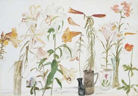 Lilies and Passion Flower Poster Print by Elizabeth Blackadder - Item # VARPDXEBL05