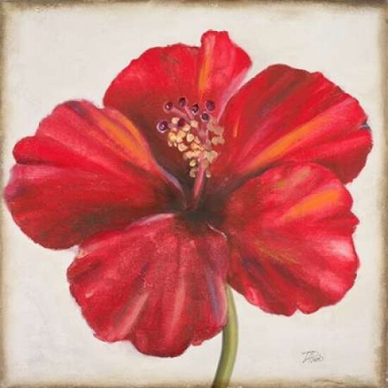 Red Hibiscus Poster Print by Patricia Pinto - Item # VARPDX8779