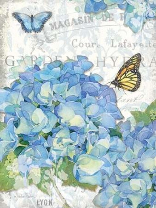 Garden Hydrangea I Poster Print by Julie Paton - Item # VARPDXPAT150
