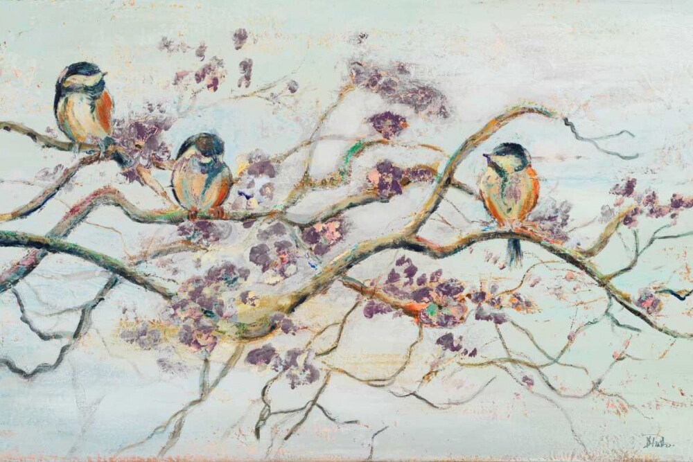 Birds On Cherry Blossom Branch Poster Print by Patricia Pinto - Item # VARPDX10780F