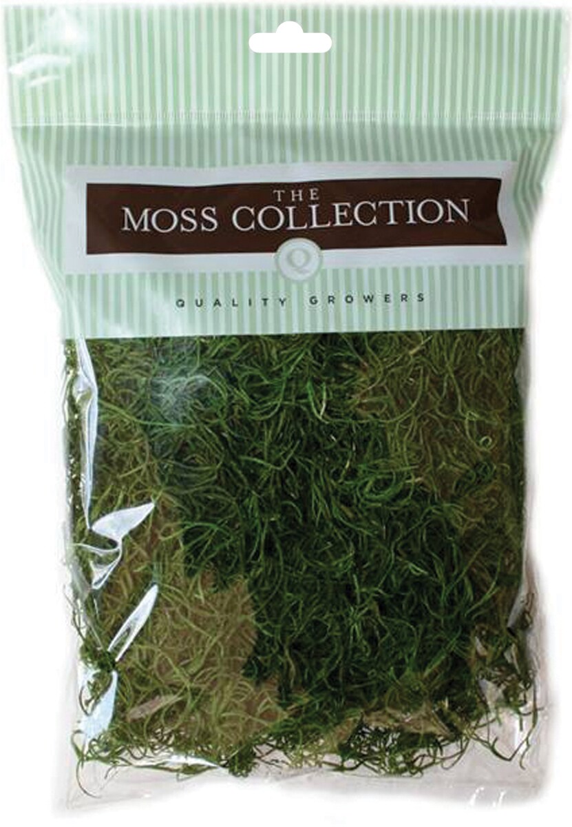 Quality Growers Preserved Spanish Moss 108.5 Cubic Inches-Apple Green
