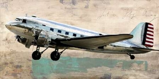 Lets Fly Away Poster Print by Teo Rizzardi - Item # VARPDX2TR2429