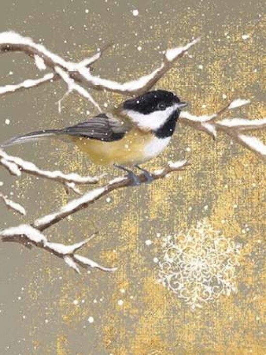 Winter Birds Chickadee Color Poster Print by Beth Grove - Item # VARPDX21947