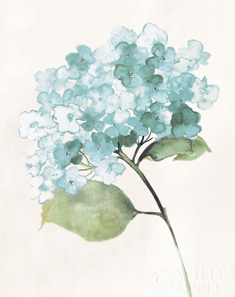 Antique Floral on Cream I Blue Poster Print by Wild Apple Portfolio - Item # VARPDX45391