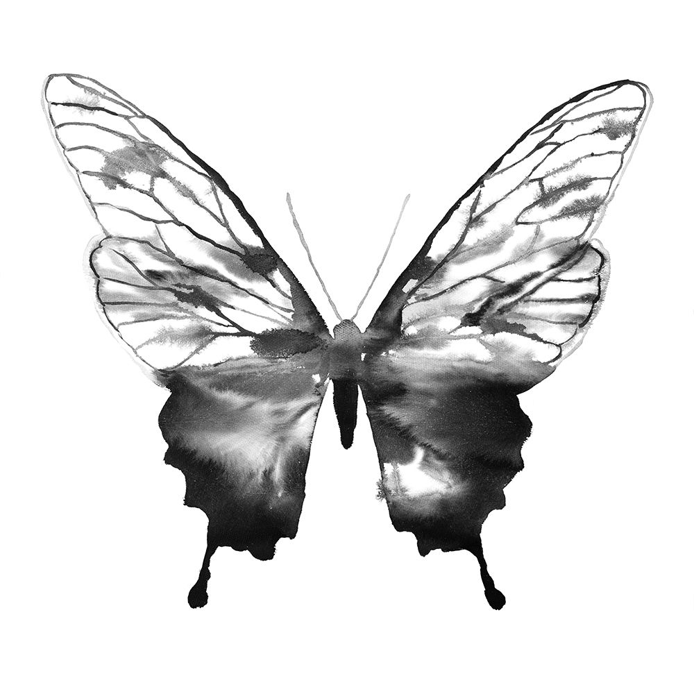 BLACK BUTTERFLY SKETCH Poster Print by Atelier B Art Studio - Item # VARPDXBEGANI467