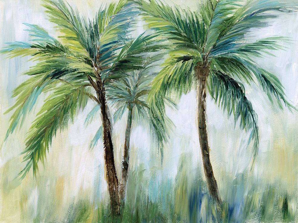 Palm Sensation Poster Print by Nan - Item # VARPDX18997