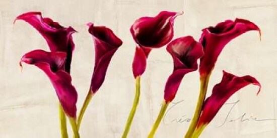 Tres Jolie Poster Print by Teo Rizzardi - Item # VARPDX2TR1874