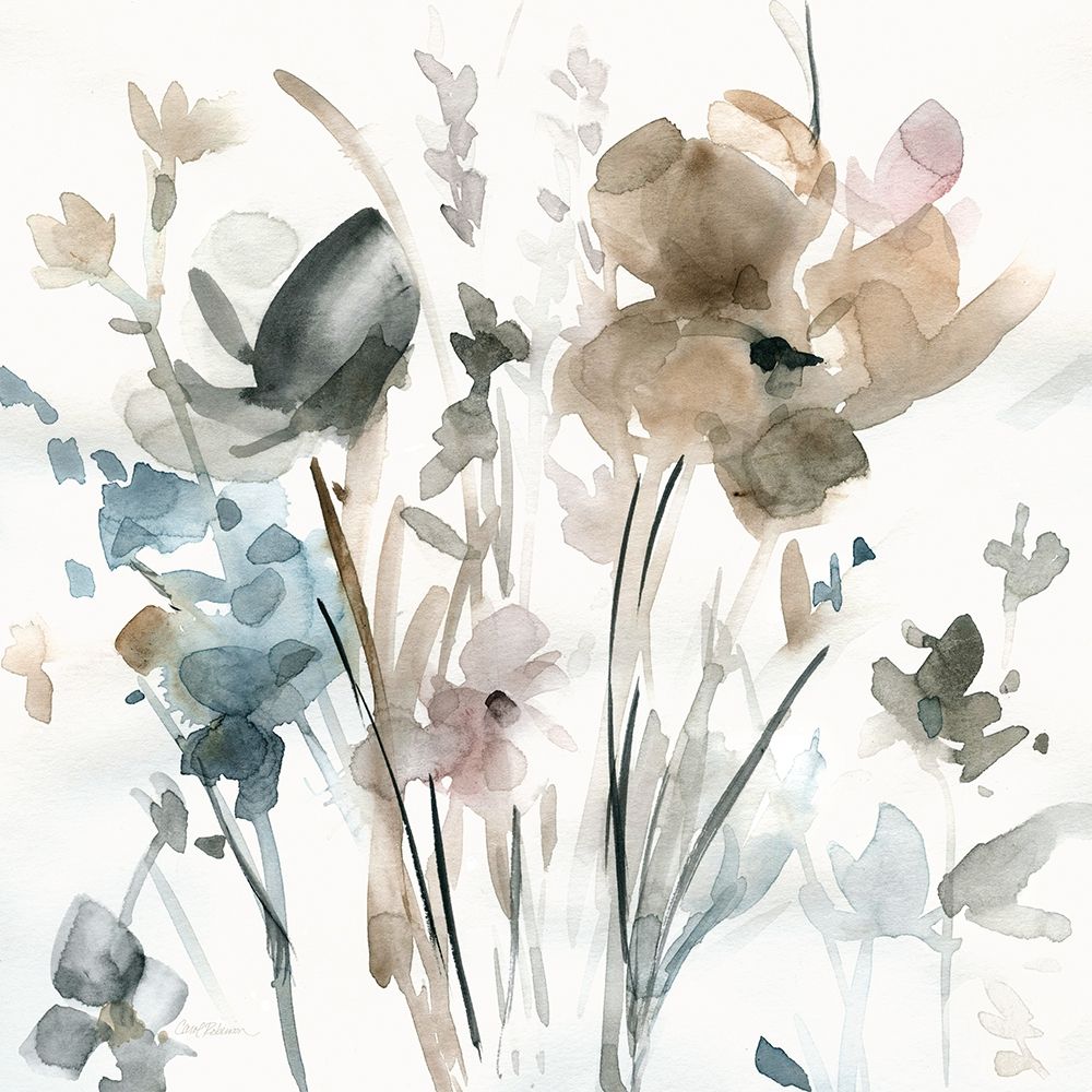 Dainty Blooms II Poster Print by Carol Robinson - Item # VARPDX19138