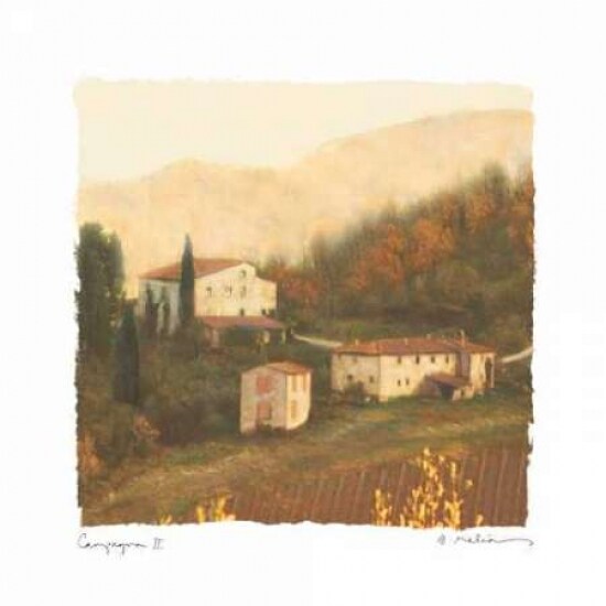 Campagna II Poster Print by Amy Melious - Item # VARPDXMEL248