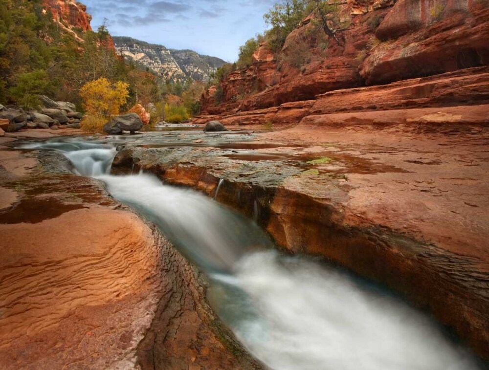 Oak Creek in Slide Rock State Park near Sedona, Arizona Poster Print by Tim Fitzharris - Item # VARPDX396448