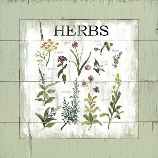 Shiplap Herbs Poster Print by Carol Robinson - Item # VARPDX17475