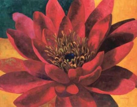 Red Water Lily Poster Print by Maria Torrontegui - Item # VARPDXTMP201