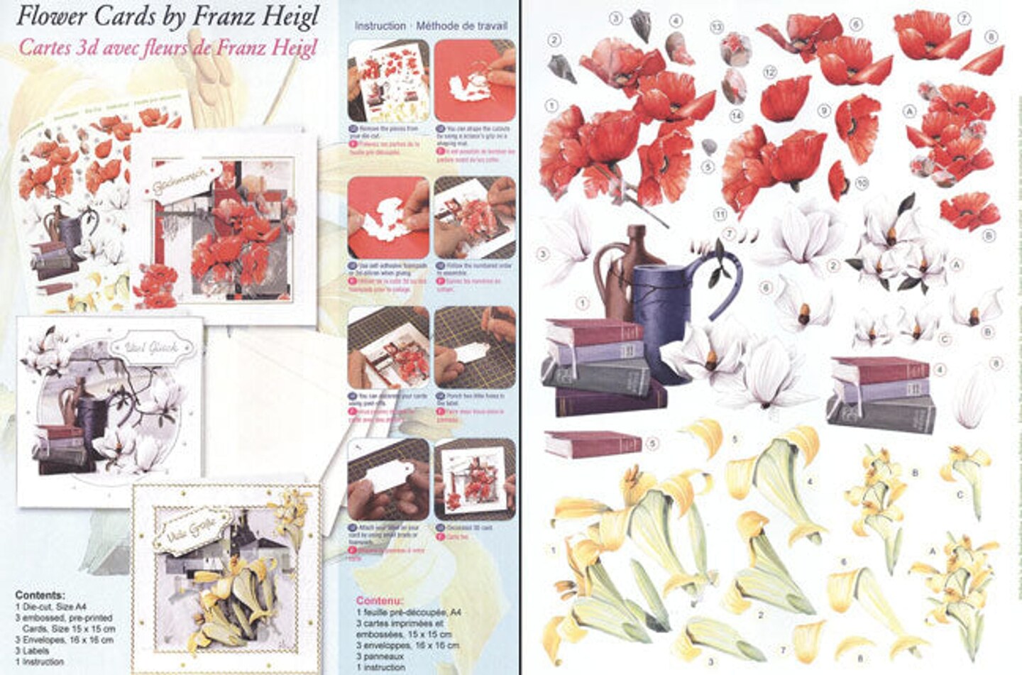 Reddy Creative Cards Card Kit- 3D Floral - Franz Heigl: 3 cards, envelopes and precut sheet