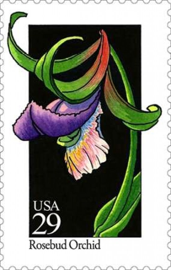 Rosebud Orchid Poster Print by US POSTAL SERVICE - Item # VARPDX3623