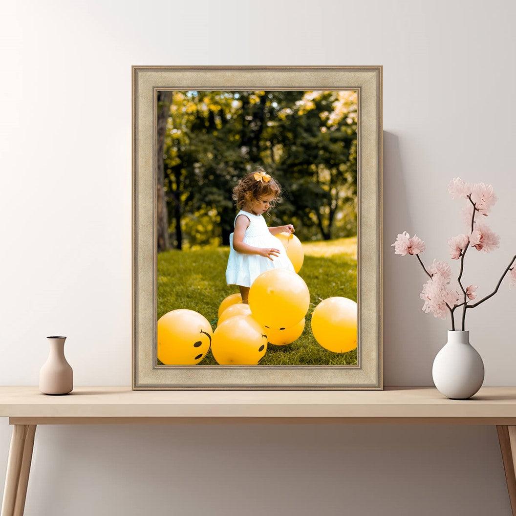 Contemporary Champagne Picture Frame - Modern Framing