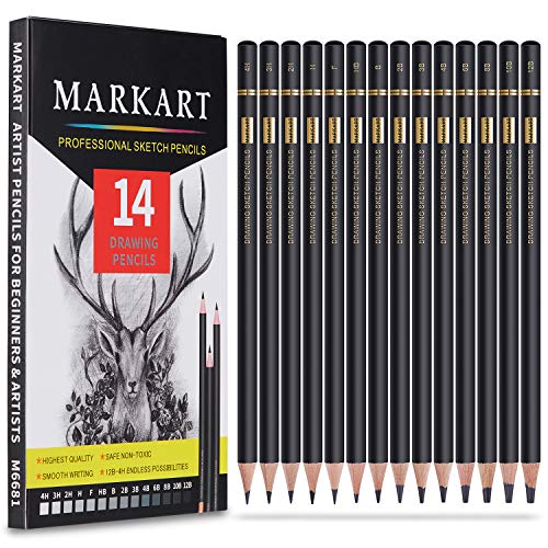 Professional Drawing Sketching Pencil Set - 14 Pieces,Graphite,(12B - 4H), Ideal for Drawing Art, Sketching, Shading, Artist Pencils for Beginners & Pro Artists