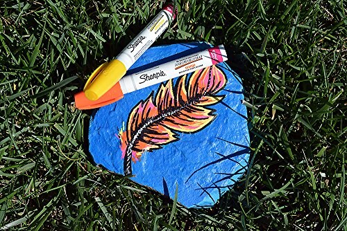Oil-Based Paint Markers, Medium Point, Assorted Colors, 5 Count (Packaging May Vary) - Great for Rock Painting
