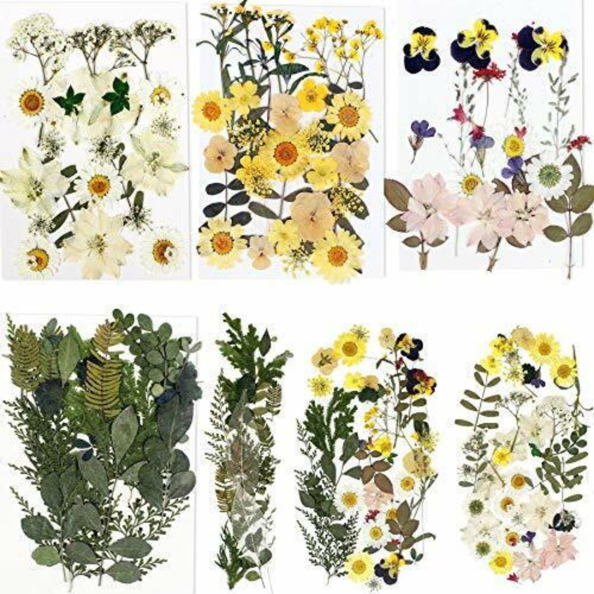 Resin Real Dried Flower 100 pcs