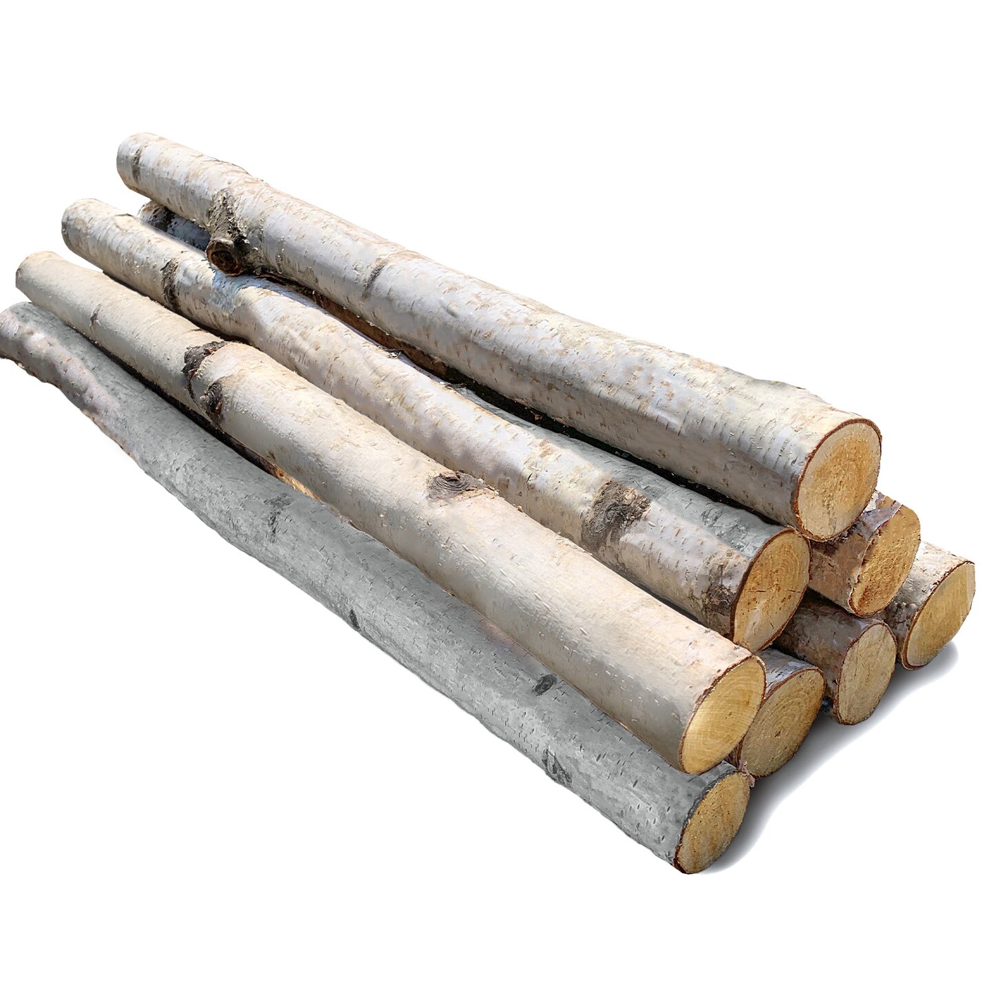 Wilson Decorative White Birch Log Bundle, Natural Bark Wood Home D&#xE9;cor 1.5-3&#x22; Dia. X 17.5&#x22; or 24&#x22; Length