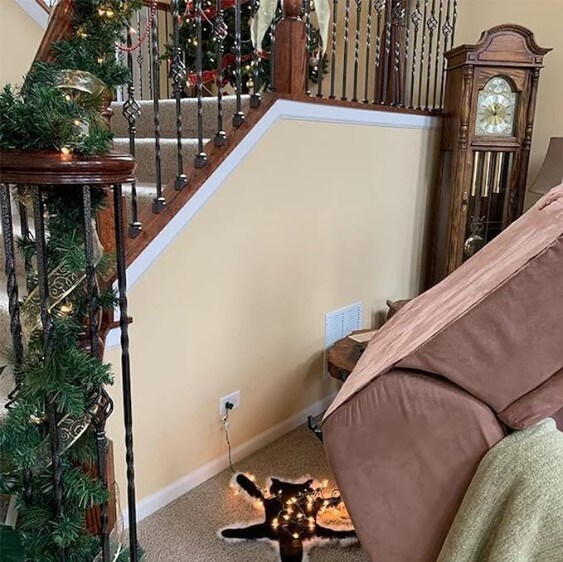 Aunt Bethany&#x27;s Fried Pussycat Rug from National Lampoon&#x27;s Funny Christmas Decoration Carpet (Warm Light) Light Up Fried Cat Rug Funny Christmas Lights Decoration Floor