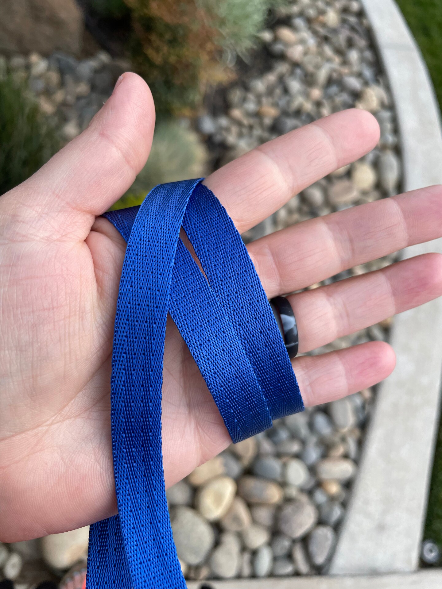 Royal 1/2&#x201D; Seatbelt Webbing