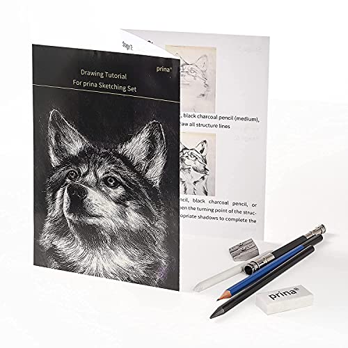 Prina 50 Pack Drawing Set Sketch Kit, Pro Art Sketching Supplies with  3-Color Sketchbook, Graphite, and Charcoal Pencils for Artists Adults Teens  Beginner Kid, Ideal for Shading, Blending