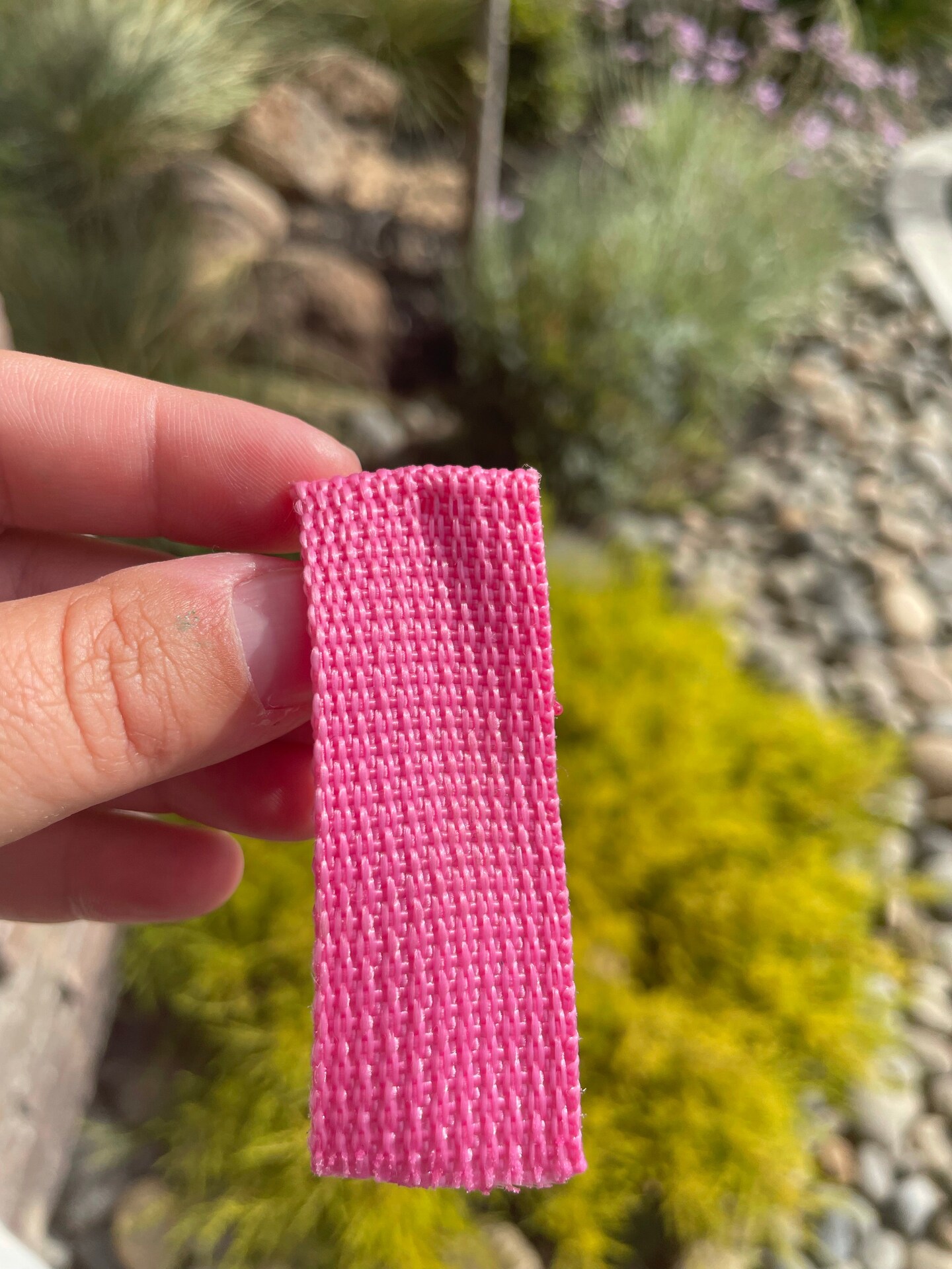 Pink 1&#x201D; Polypropylene Webbing (by the yard)