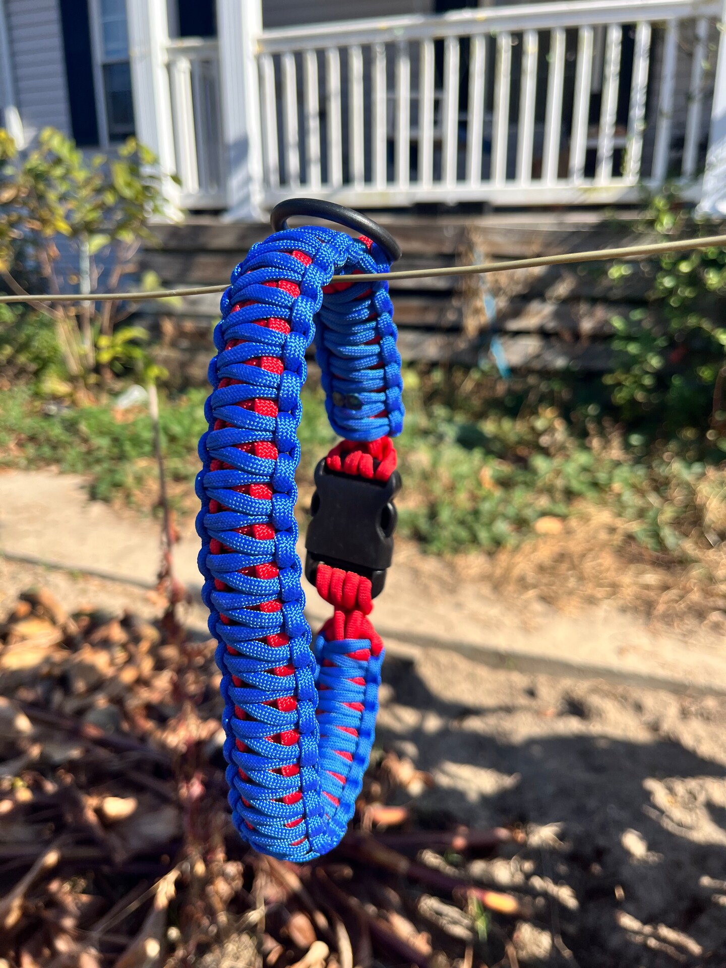 3 color outlet paracord dog collar