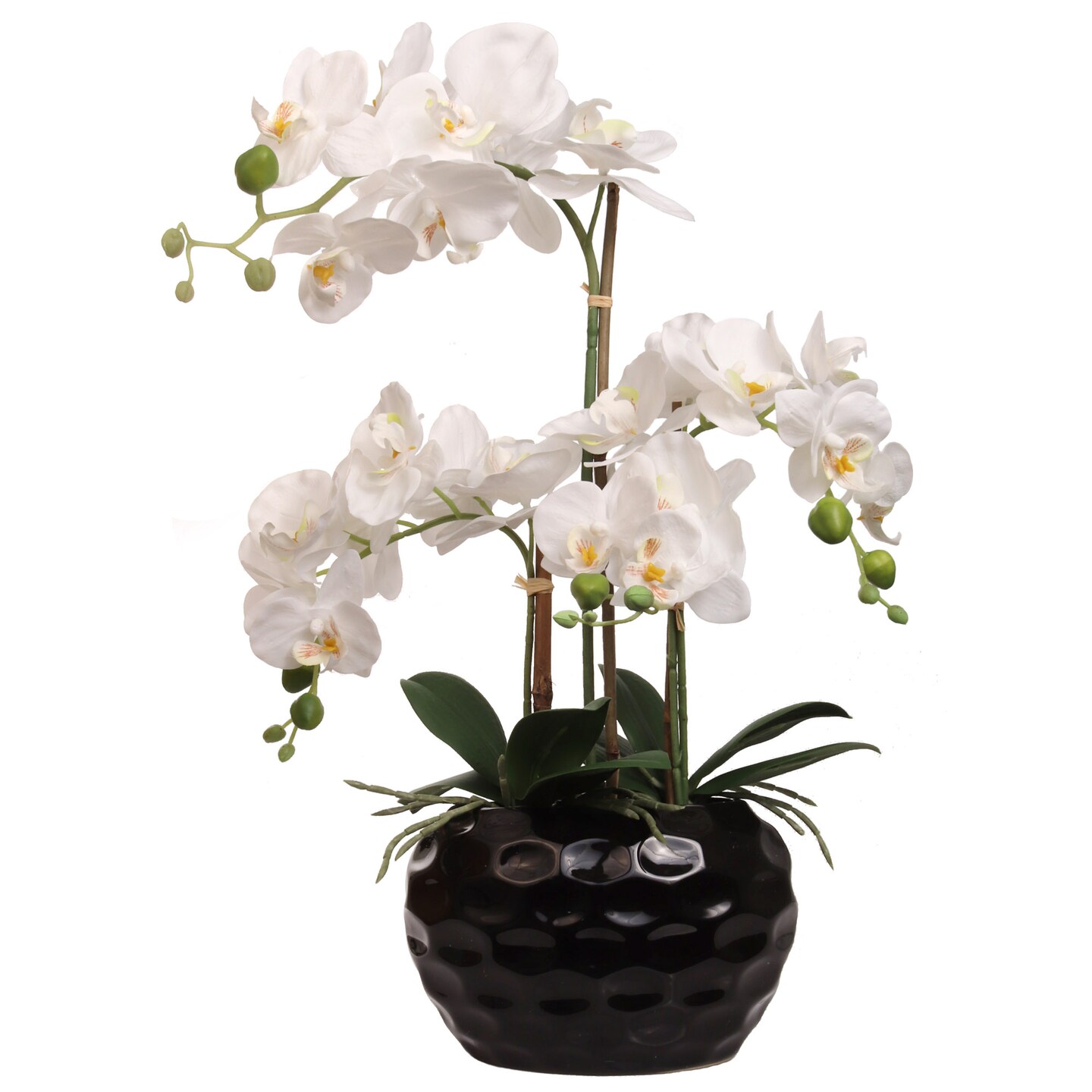 Real Touch White Phalaenopsis Orchid Arrangement in Black Ceramic Vase