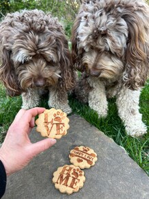 Puppy Love Cookie Stencil Set | C1080 by Designer Stencils | Cookie Decorating Tools | Baking Stencils for Royal Icing, Airbrush, Dusting Powder | Reusable Plastic Food Grade Stencil for Cookies | Easy to Use &#x26; Clean