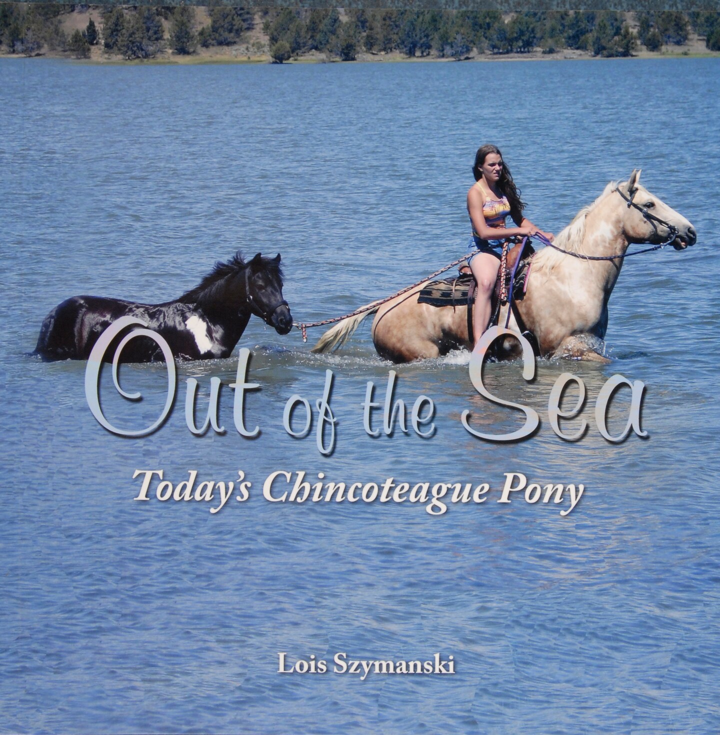 Out of the Sea, Today&#x2019;s Chincoteague Pony