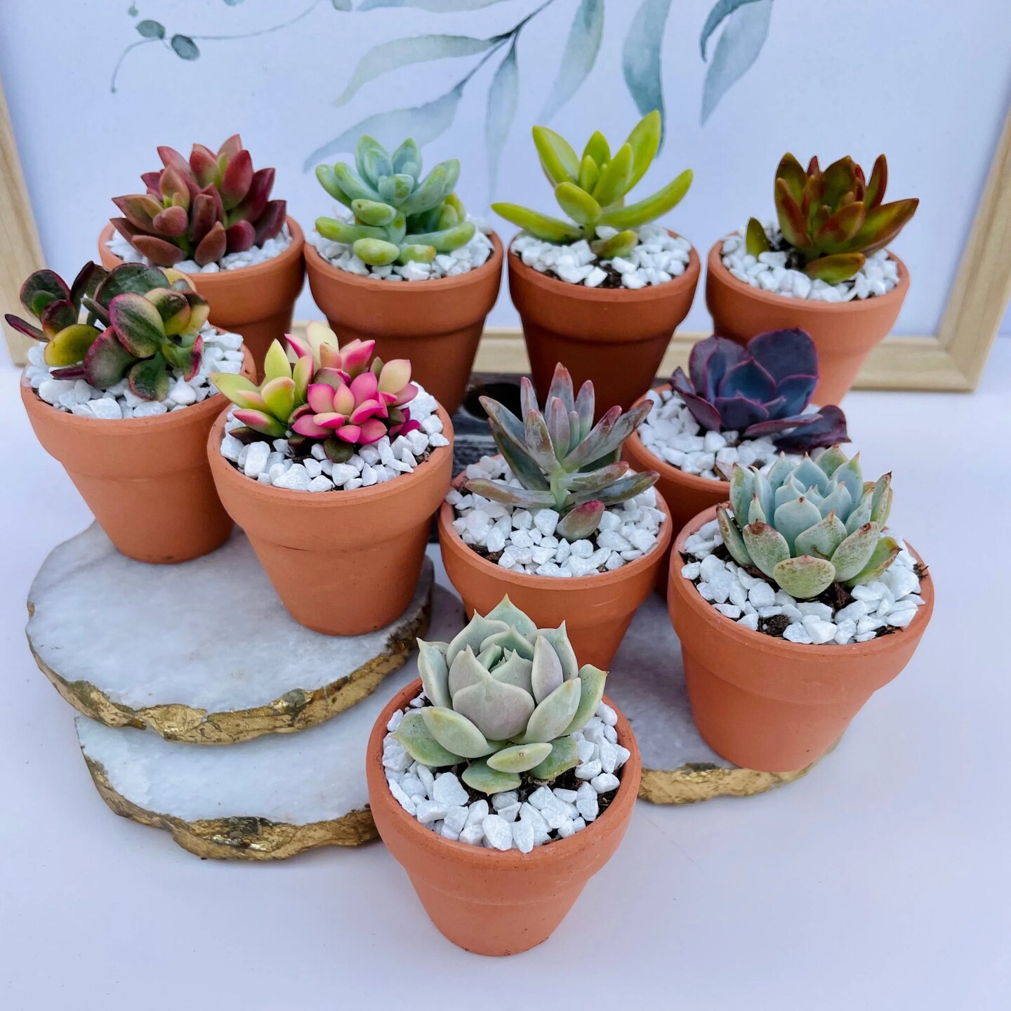 clay plant pot feet Piedeno Terracotta Pot Feet main image 1