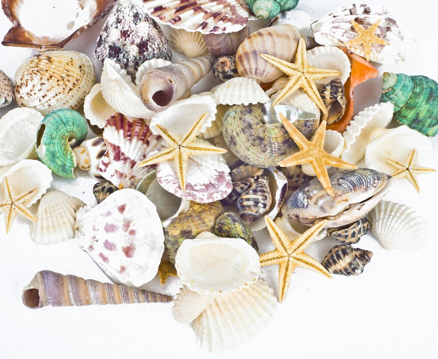 Beach Theme Party Wedding Decorations with Mixed Sea Shells and Starfish Do It Yourself Projects Making Candles for Fish Tank Vase Fillers Materials for Home D&#xE9;cor more than 70 pieces