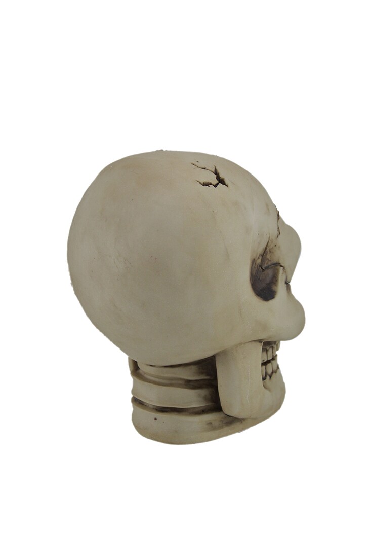 Color Changing LED Lighted Cracked Skull W/Web Statue