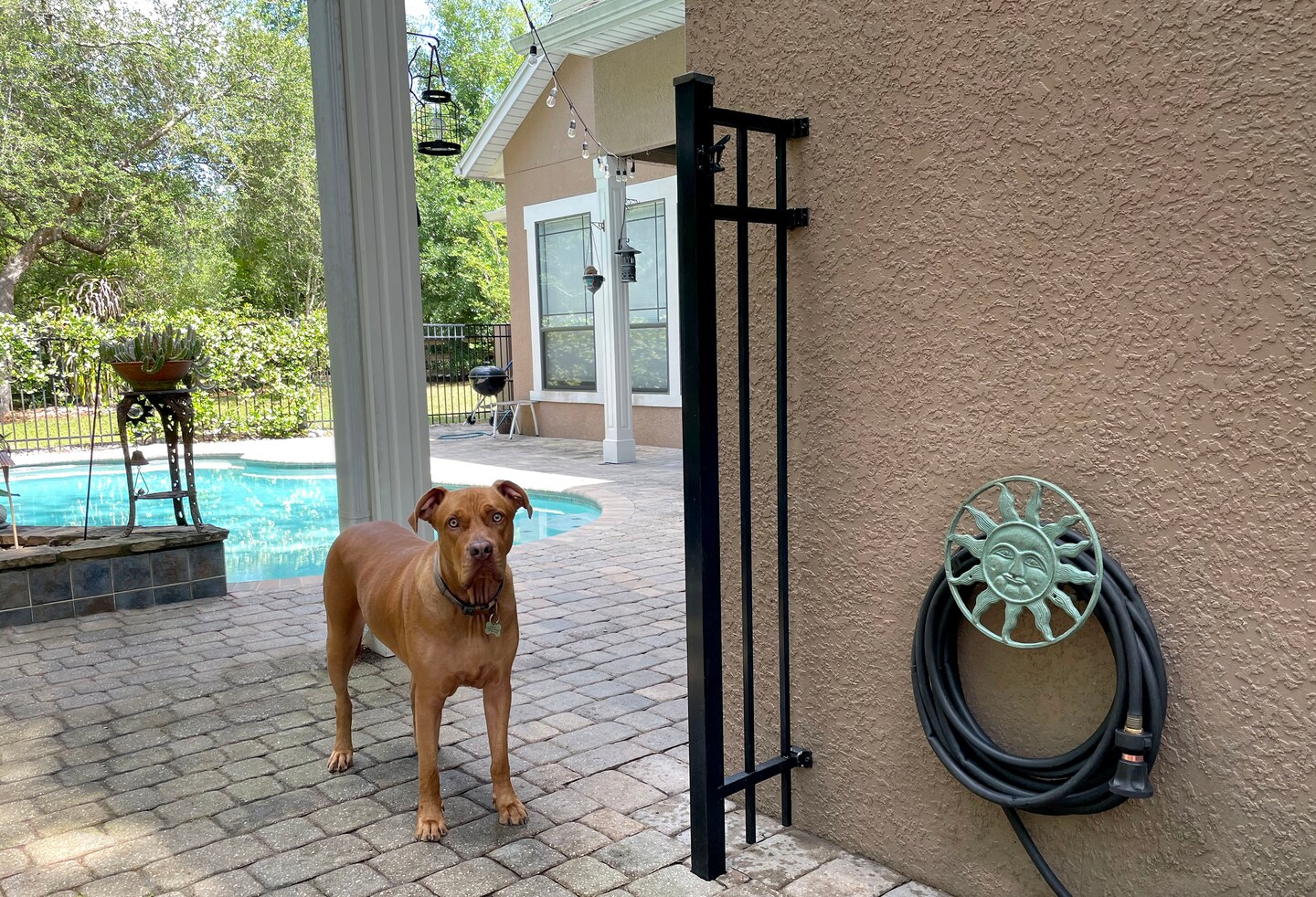 Cast Iron Decorative Wall Mounted Hanging Garden Hose Hanger Holder Bronze