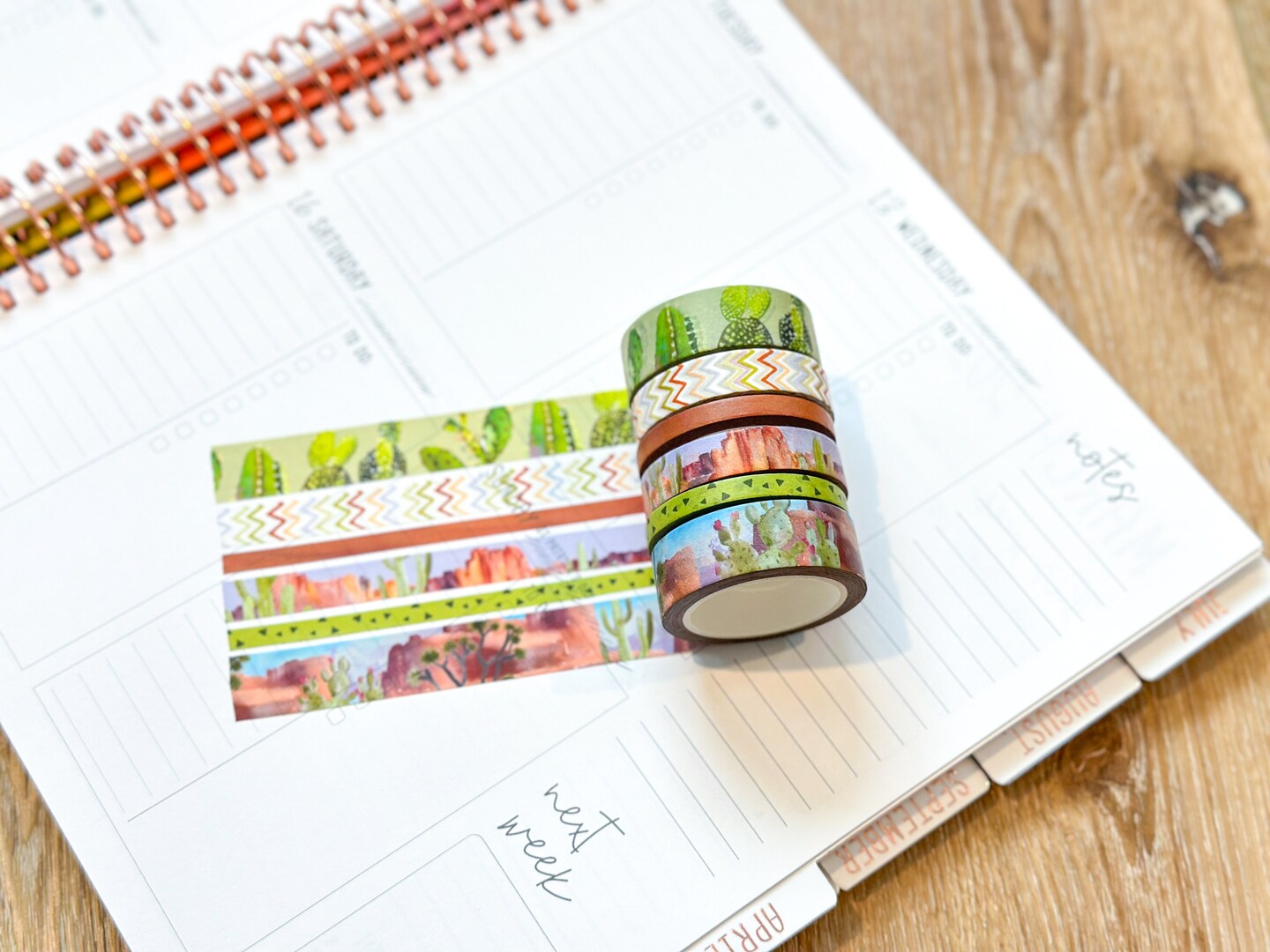 Desert Cactus Green &#x26; Brown Spring Washi Tape Set March 2024 - W104