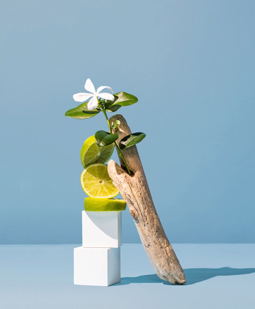 Lemon Blossom &#x26; Sea Mist | Fragrance Oil for Candles, Soap
