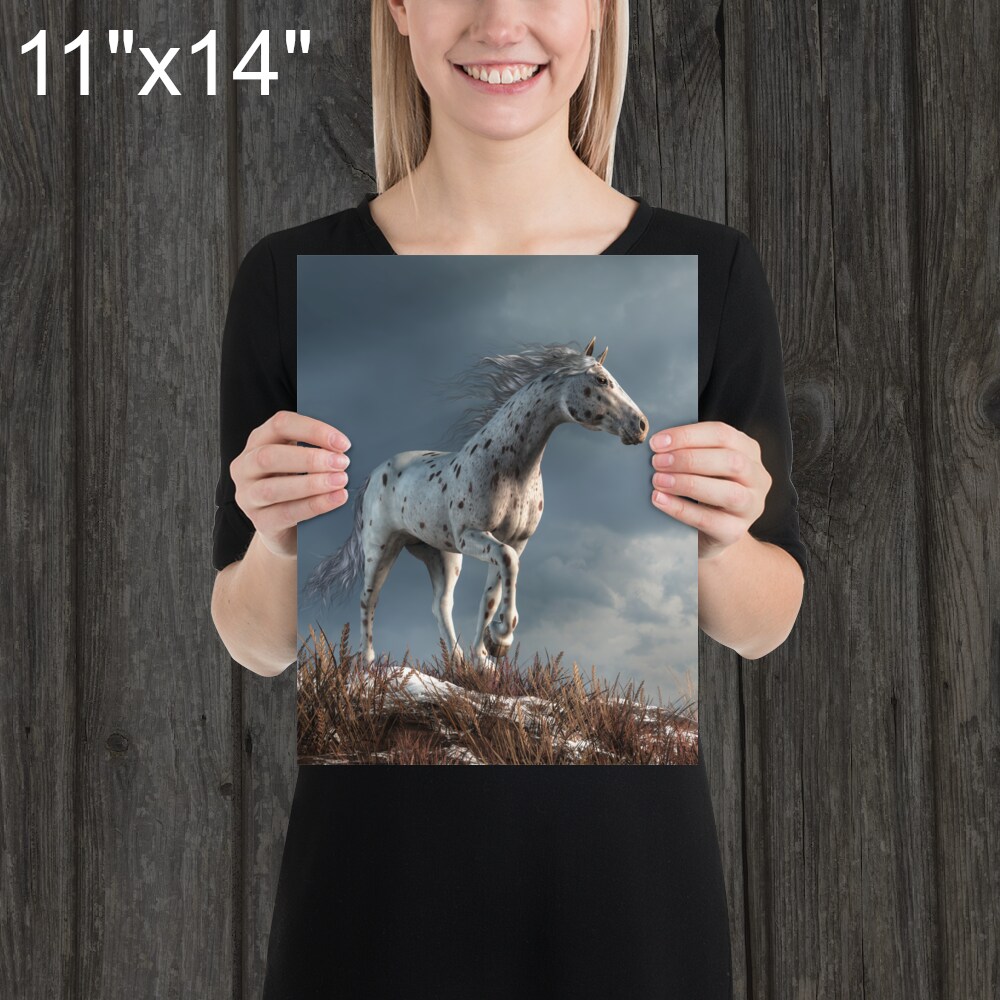 Wild Appaloosa in Winter - Print - Horse Themed Art product 2