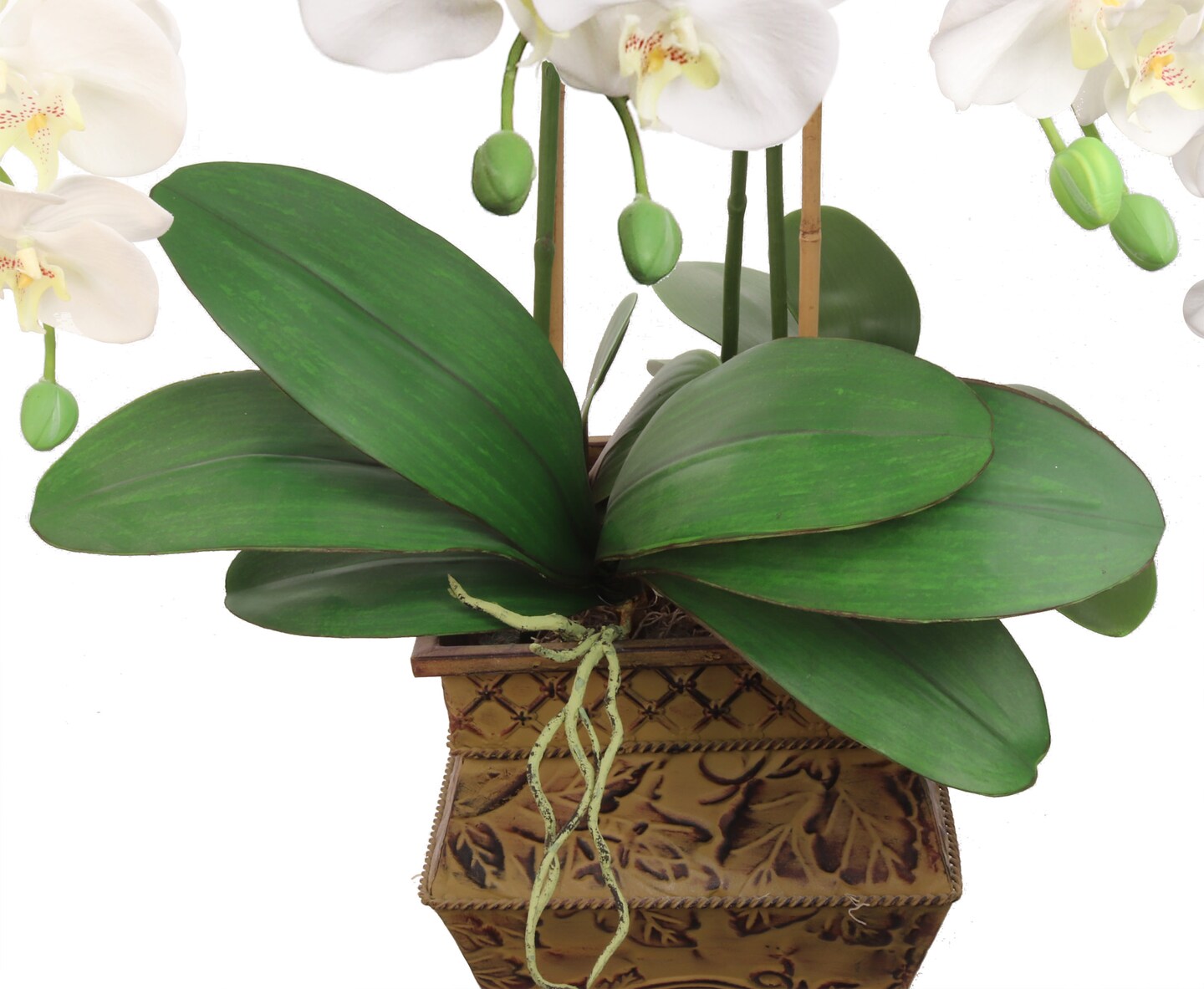 12-Pack: 21&#x22; Phalaenopsis Orchid Foliage Cluster Pick by Floral Home&#xAE;