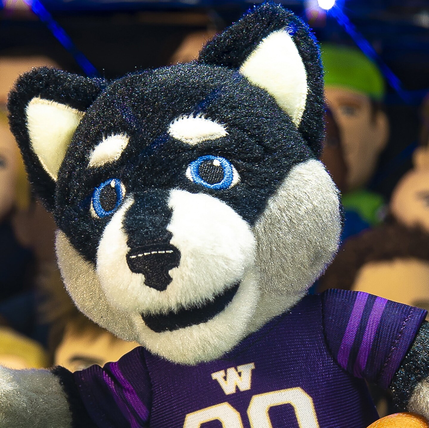 Bleacher Creatures Washington Huskies Harry the Husky 10&#x22; Plush Figure